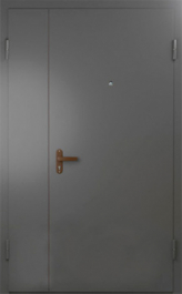 Фото двери «Техническая дверь №6 полуторная» в Красноярску